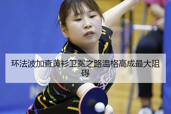 huan-fa-bo-jia-cha-huang-shan-wei-mian-zhi-lu-wen-ge-gao-cheng-zui-da-zu-ai-2-506.jpg