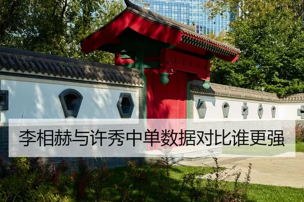 李相赫与许秀中单数据对比谁更强